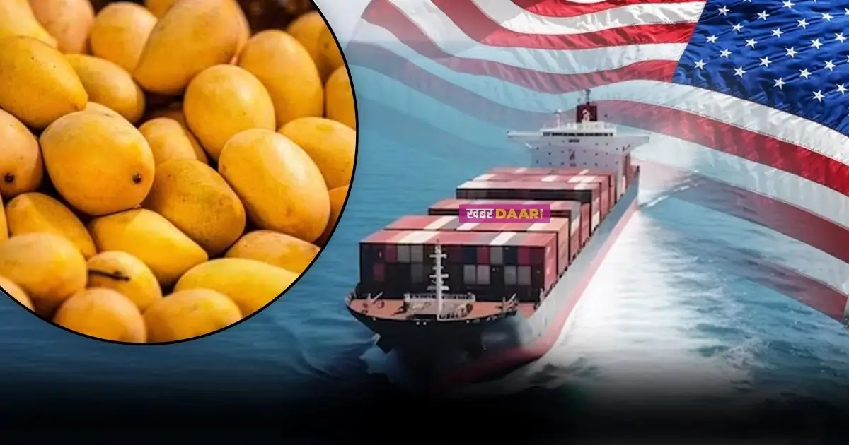 Us junks 15 shipments of mangoes exported from india