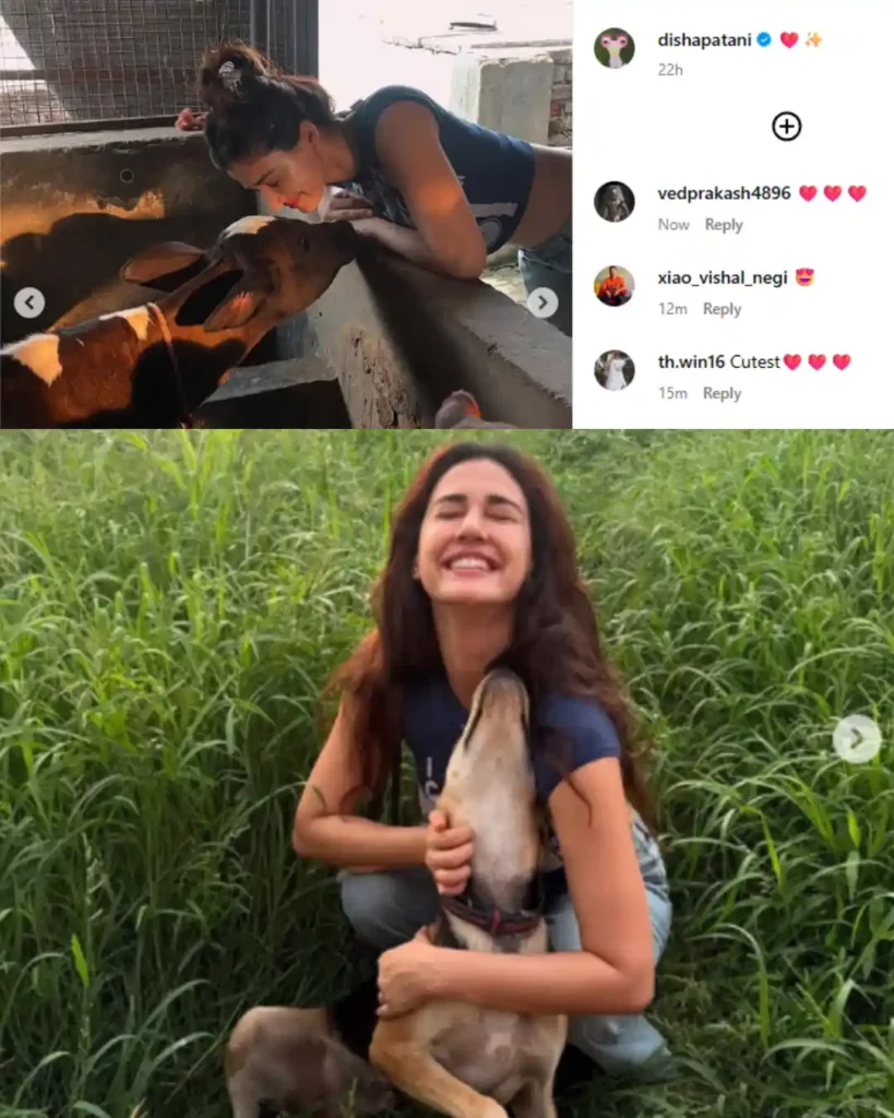Disha Patani Photo
